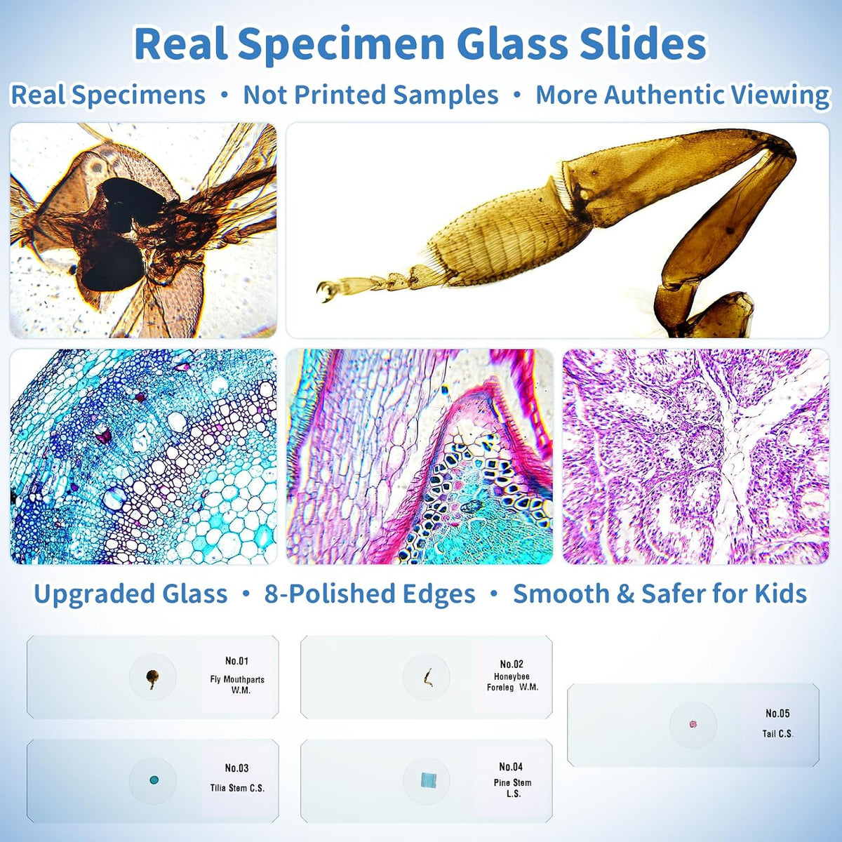 Kids Digital Microscope Science Gift: Complete STEM Toy Kit for Ages 4-12