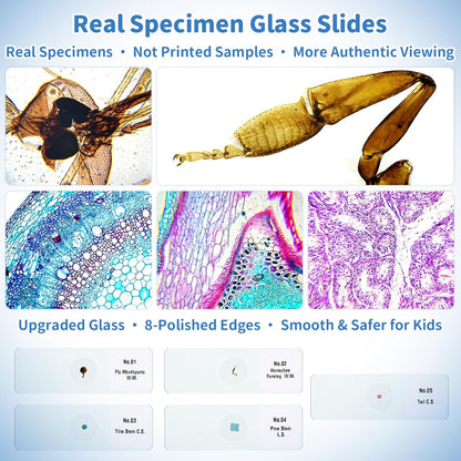 Kids Digital Microscope Science Gift: Complete STEM Toy Kit for Ages 4-12